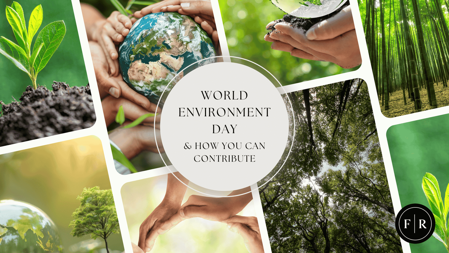 World Environment Day & How You Can Contribute
