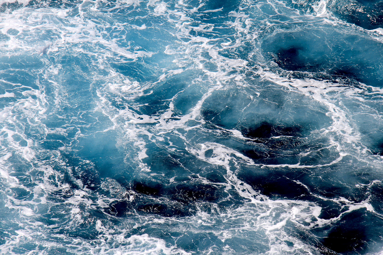 World Ocean Day: 4 Important Facts You Should Know