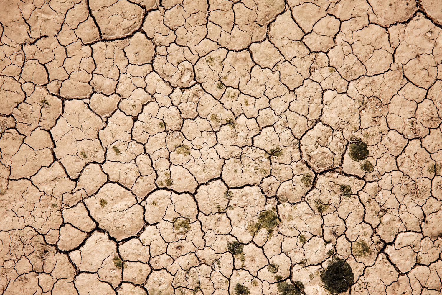 Global Warming vs. Climate Change: What's The Difference?