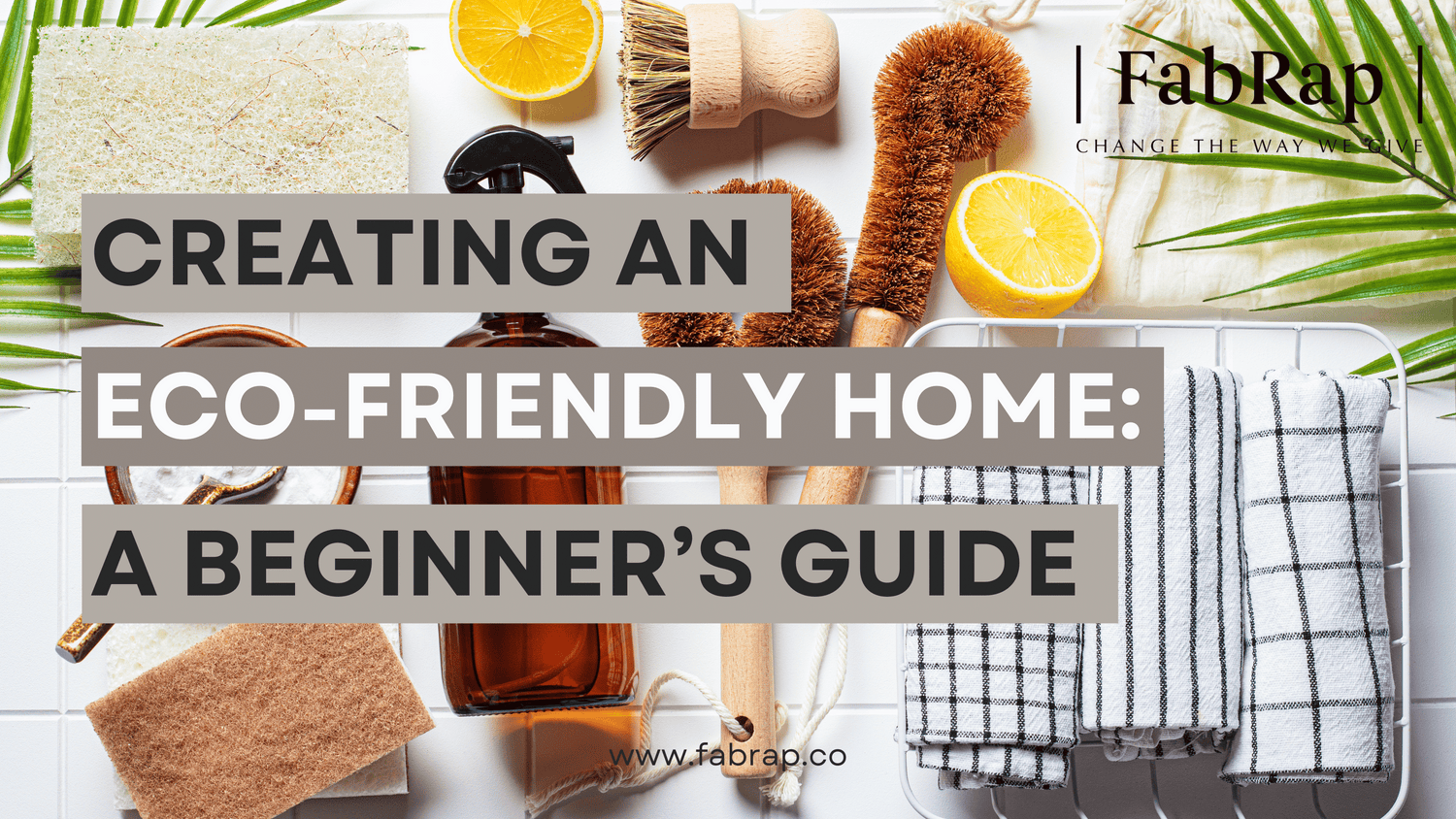 Creating an Eco-Friendly Home: A Beginner's Guide