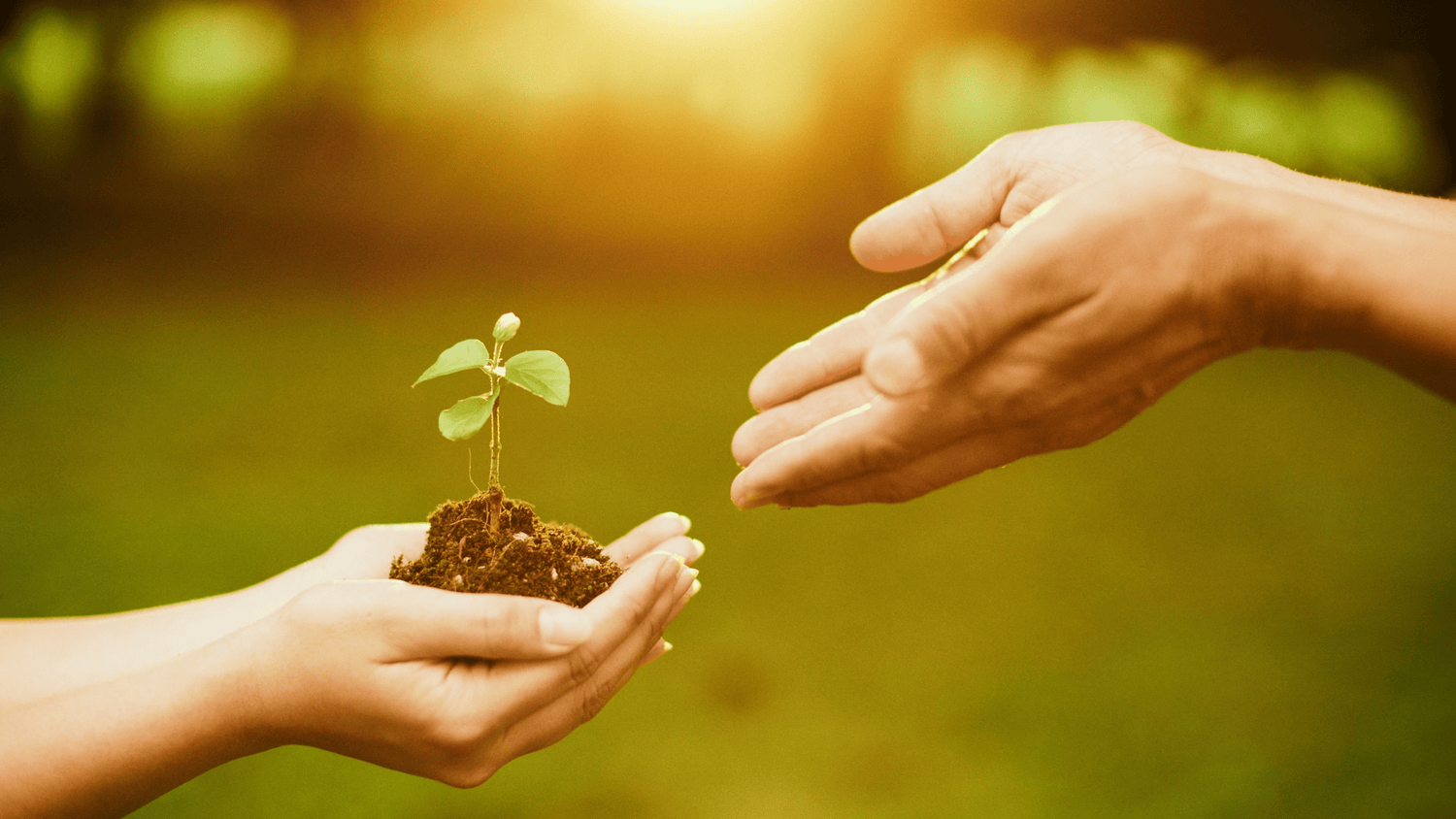 From Disposable to Intentional: How One Small Habit Can Change Your Year