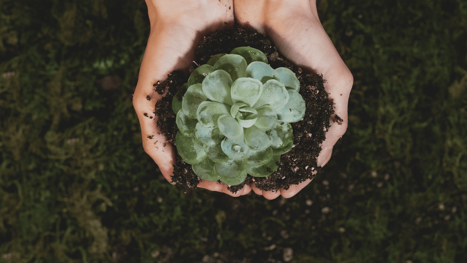 Sustainability Is a Relationship—Here’s How to Nurture It