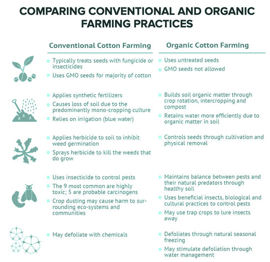 Why Organic Cotton: Exploring Regular Cotton vs Organic Cotton